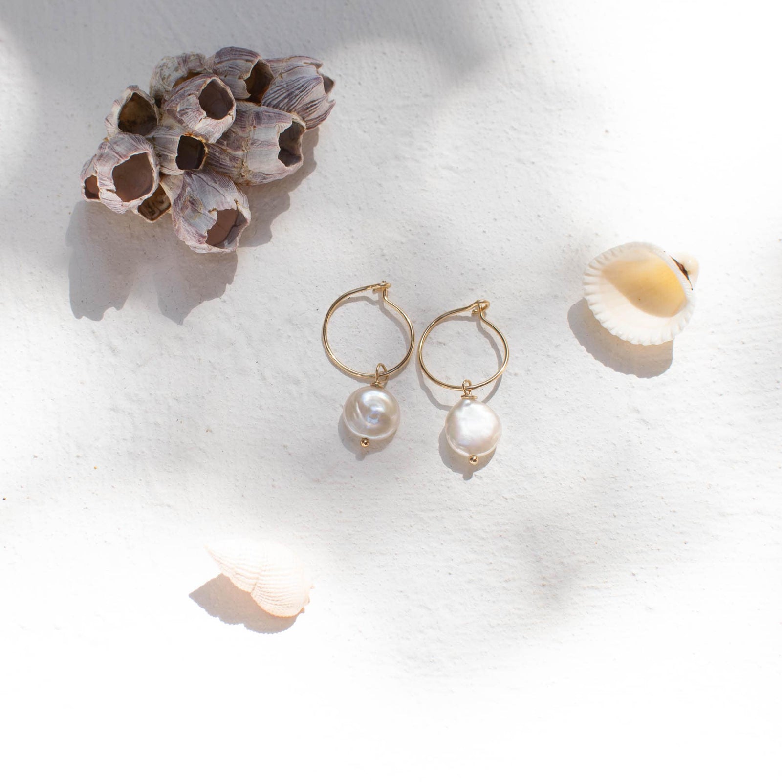 Small Gold or Silver Hoop Earrings With Coin Pearl • 14k Gold Filled Hoop • Fresh Water Pearl • 925 Sterling Silver
