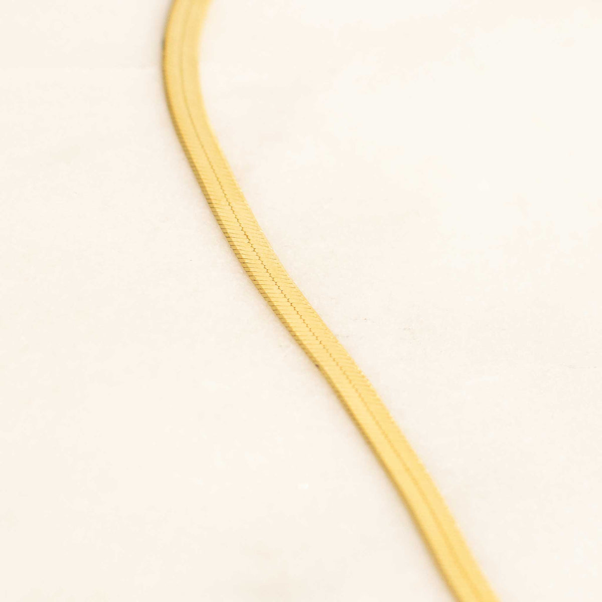 a close up of the chain laid on a white solid background. The chain is creating a subtle S shape. 